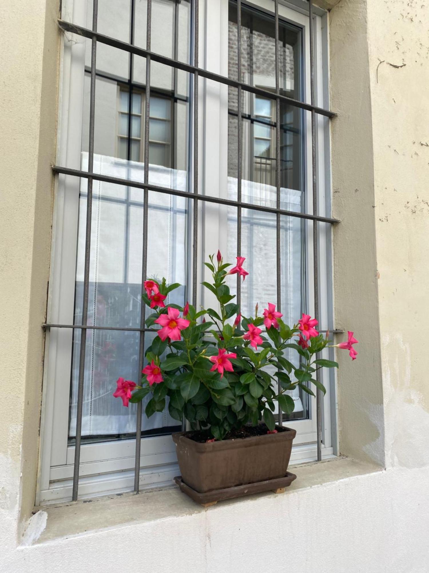 Vicolo San Giuseppe 8a E 8b Apartment *
